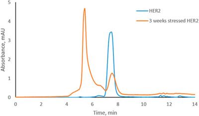 Effect of Trastuzumab–HER2 Complex Formation on Stress-Induced Modifications in the CDRs of Trastuzumab